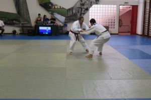 IMG 0585 1024x